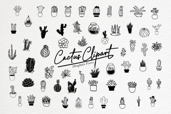 Cactus Clipart