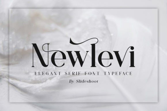 Newlevi Serif Font for Business Branding and Design
