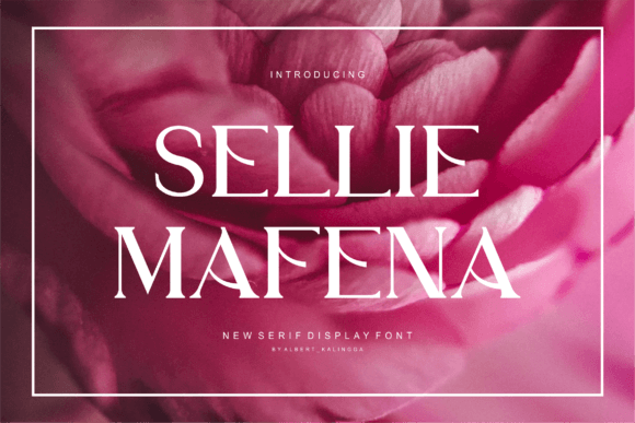 Sellie Mafena: A Bold Serif Font for Elegant Web Typography